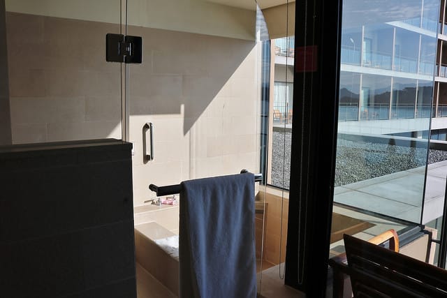 南投|雲品溫泉酒店 Fleur de Chine Hotel 日月潭美景盡收眼底 - 第35張圖 IMG_0205