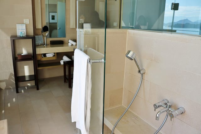 南投|雲品溫泉酒店 Fleur de Chine Hotel 日月潭美景盡收眼底 - 第40張圖 IMG_0207