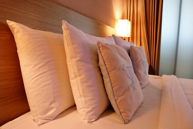 南投|雲品溫泉酒店 Fleur de Chine Hotel 日月潭美景盡收眼底 - 第32張圖 IMG_0343