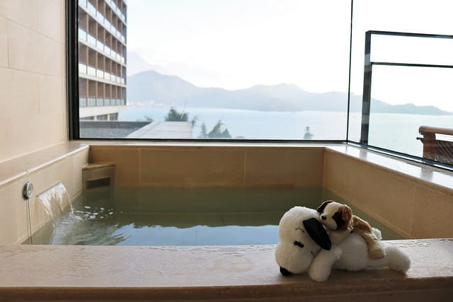 南投|雲品溫泉酒店 Fleur de Chine Hotel 日月潭美景盡收眼底 - 第47張圖 IMG_0370