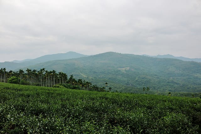IMG_6281