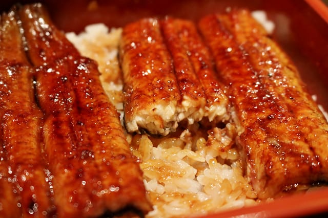 IMG_3768.jpg IMG_3768.jpg