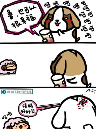 21191084_10212297107976527_1173389123_o