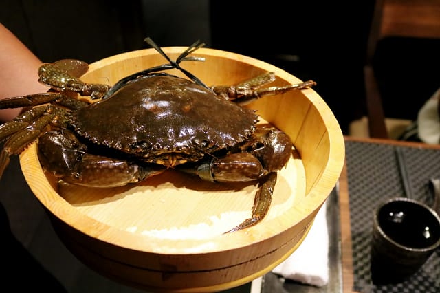 IMG_9837.jpg IMG_9837.jpg