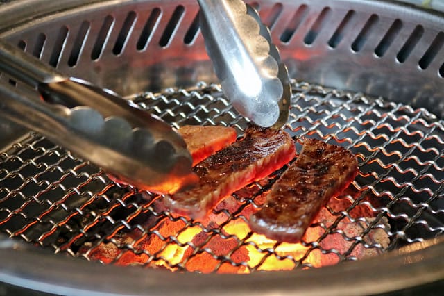 IMG_6494.jpg