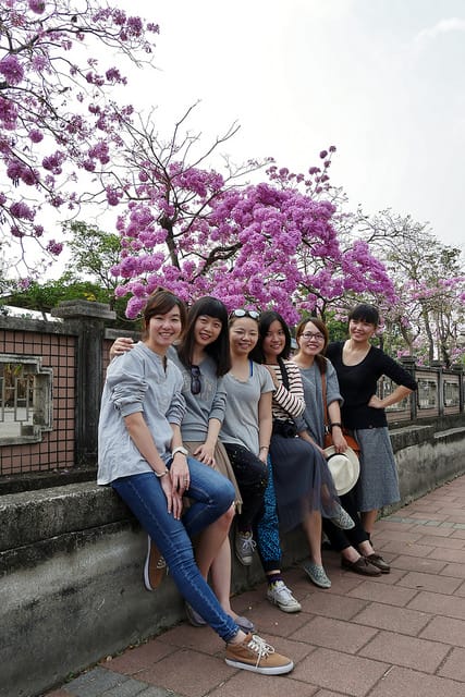 【嘉義旅遊】粉紅風鈴木(2017.03.05花況分享)-嘉義特殊教育學校粉紅美景 - 第22張圖 P1690782