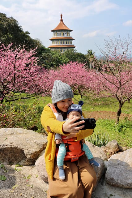 【台北旅遊】淡水天元宮 2017三色櫻花盛開-台北一日小旅行.賞櫻好去處 - 第17張圖 IMG_2324