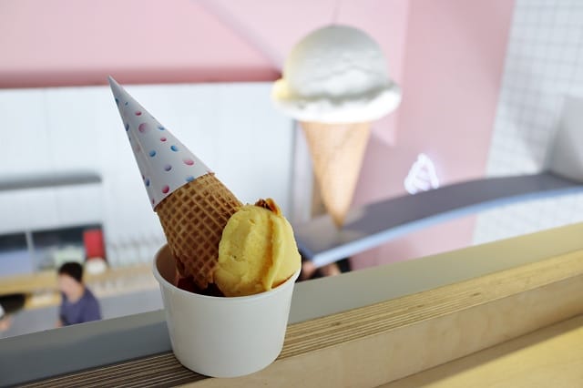 IMG_2251.jpg IMG_2251.jpg