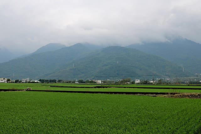 【台東旅遊】跟著鐵人玩台東 三天兩夜花東行-關山環鎮自行車道.關山臭豆腐老店.金花軒卑南包仔店.2016 Ironman 70.3 Taiwan鐵人三項國際邀請賽.黃記蔥油餅.萬家鄉餃子館.鐵花村 - 第11張圖 IMG_9072