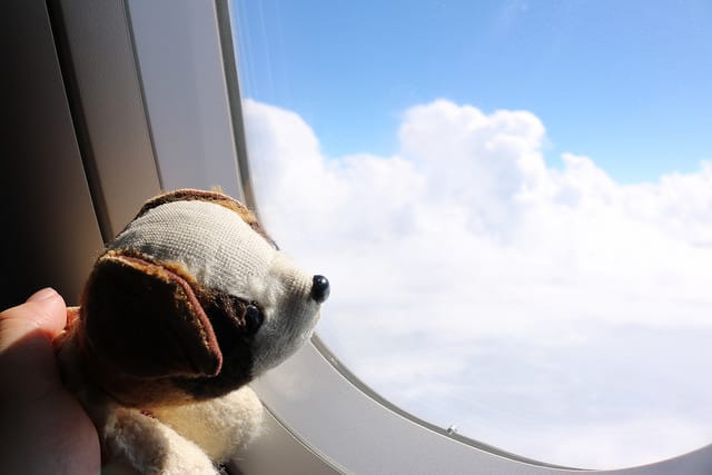 【日本旅遊】東京自助旅行 三天兩夜快閃遊 廉航初體驗-人形町SAIBO.台場購物中心.大江戶溫泉物語.DingTaxi叮叮包車 - 第3張圖 IMG_0046