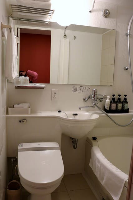 【日本旅遊】東京自助旅行 三天兩夜快閃遊 廉航初體驗-人形町SAIBO.台場購物中心.大江戶溫泉物語.DingTaxi叮叮包車 - 第46張圖 IMG_0108