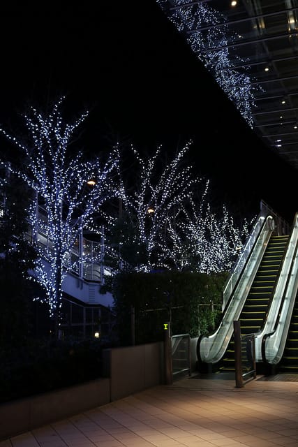 【日本旅遊】東京自助旅行 三天兩夜快閃遊 廉航初體驗-人形町SAIBO.台場購物中心.大江戶溫泉物語.DingTaxi叮叮包車 - 第65張圖 IMG_0193