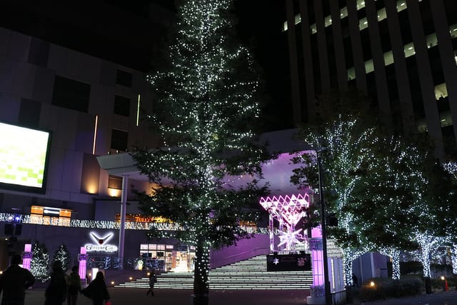 【日本旅遊】東京自助旅行 三天兩夜快閃遊 廉航初體驗-人形町SAIBO.台場購物中心.大江戶溫泉物語.DingTaxi叮叮包車 - 第69張圖 IMG_0208