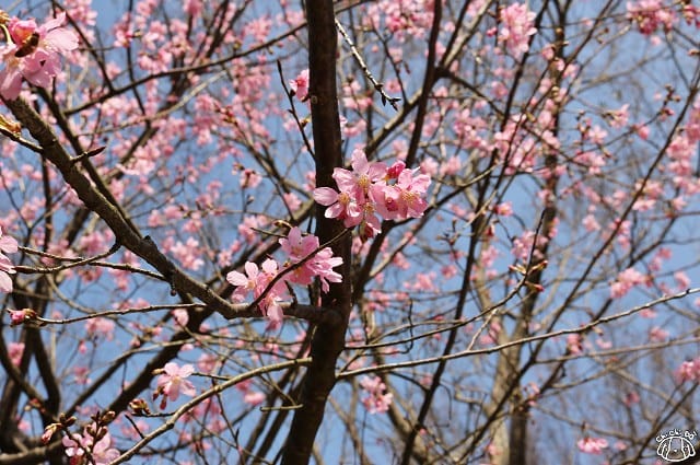 IMG_6676.jpg