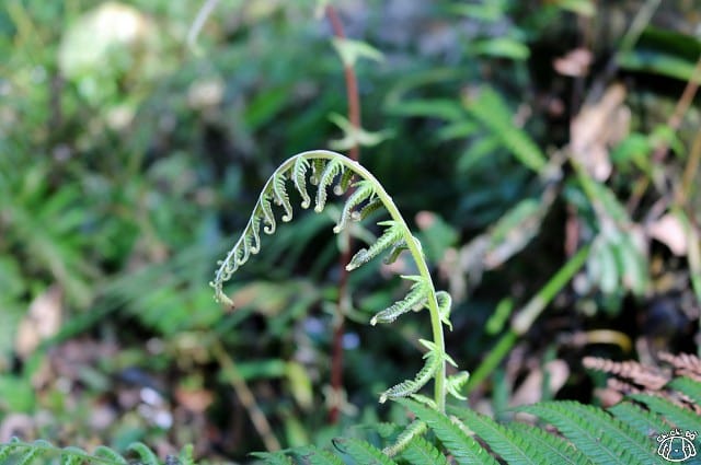 IMG_6696.jpg