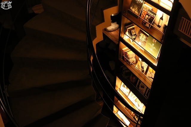 IMG_4414.jpg IMG_4414.jpg