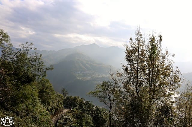 IMG_9331.jpg IMG_9331.jpg