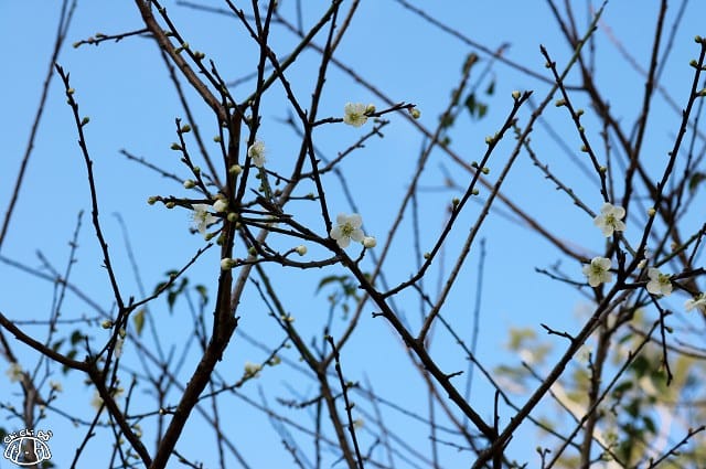 IMG_9325.jpg IMG_9325.jpg