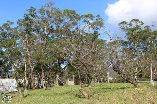 IMG_9340.jpg IMG_9340.jpg