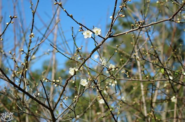 IMG_9341.jpg IMG_9341.jpg