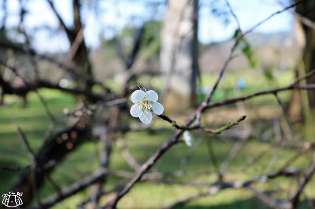 IMG_9345.jpg IMG_9345.jpg