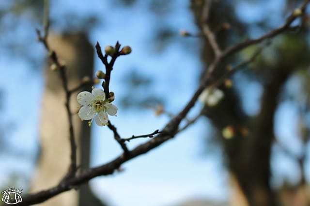 IMG_9346.jpg IMG_9346.jpg