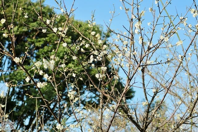 IMG_9354.jpg IMG_9354.jpg