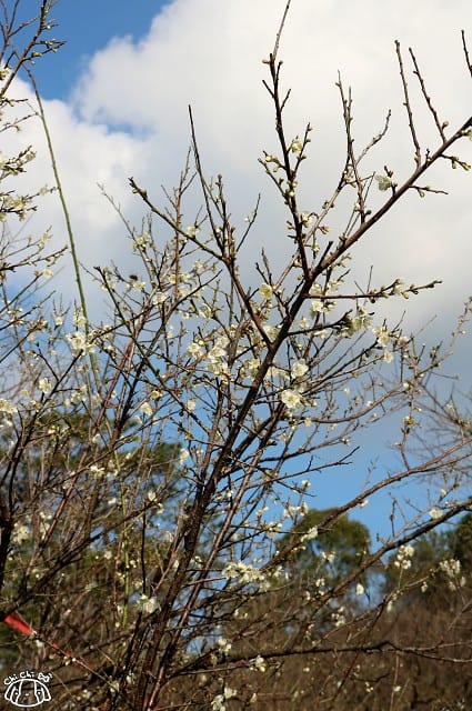 IMG_9359.jpg IMG_9359.jpg