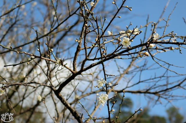 IMG_9367.jpg IMG_9367.jpg