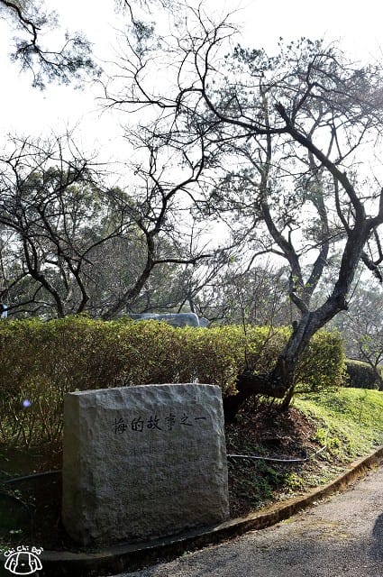 IMG_9369.jpg IMG_9369.jpg