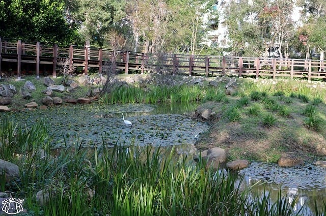 IMG_9373.jpg IMG_9373.jpg