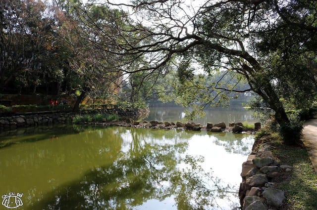 IMG_9375.jpg IMG_9375.jpg