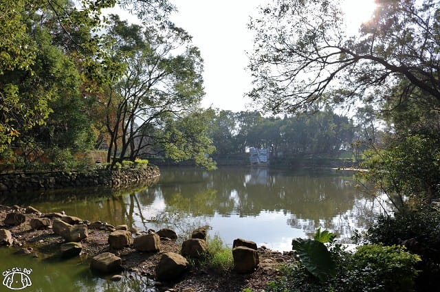 IMG_9376.jpg IMG_9376.jpg