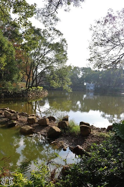 IMG_9378.jpg IMG_9378.jpg