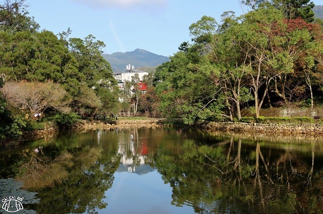 IMG_9381.jpg IMG_9381.jpg