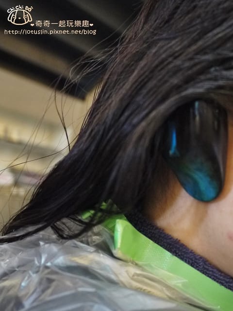 P1720981.jpg P1720981.jpg