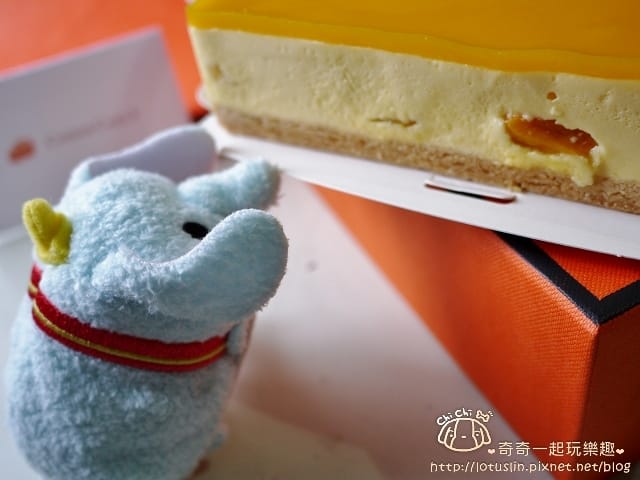 P1680755.jpg
