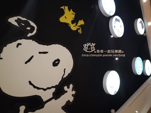 P1670519.jpg