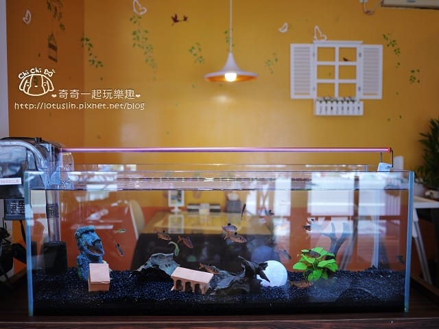 P1620134.jpg P1620134.jpg