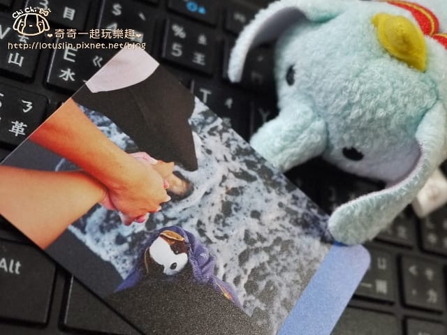 P1560397.jpg