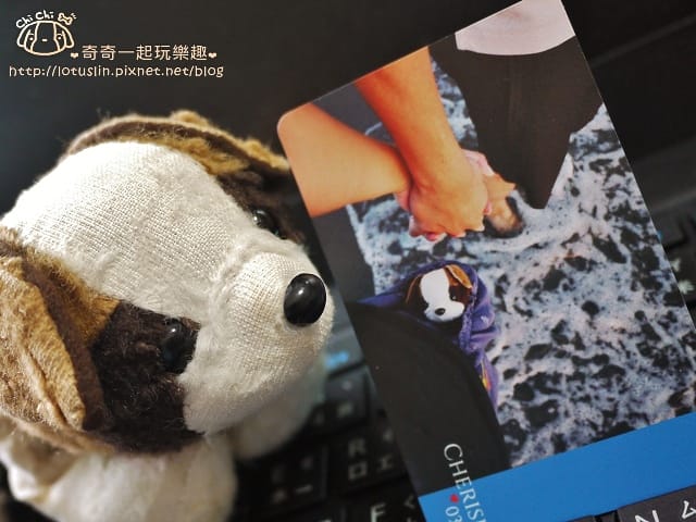 P1560418.jpg