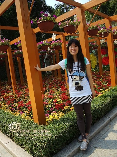 DSCN2295.jpg