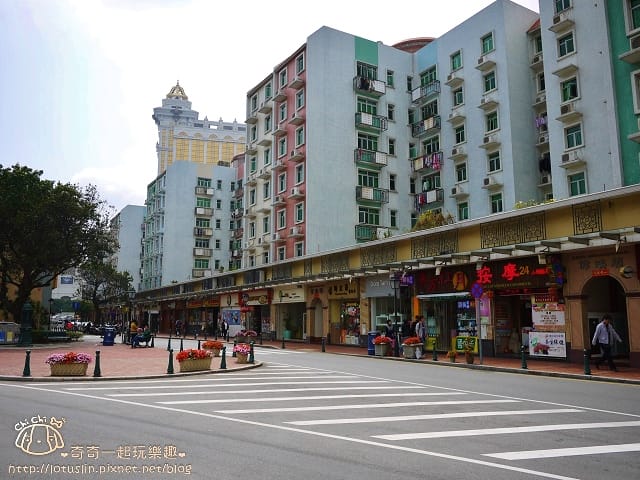 P1330381.jpg