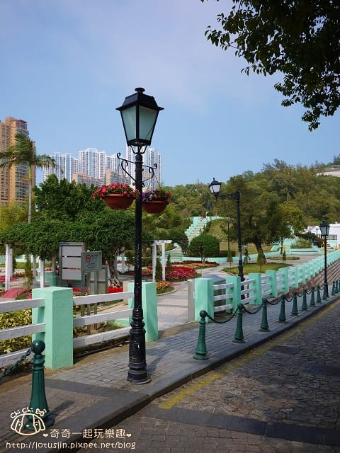 P1330409.jpg