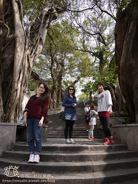 P1330428.jpg