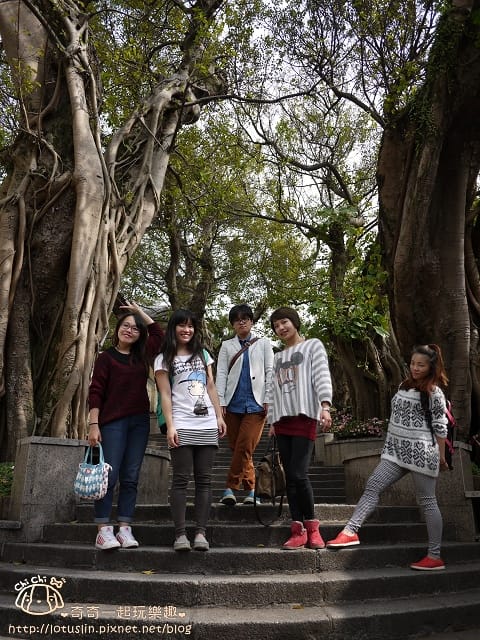 P1330429.jpg