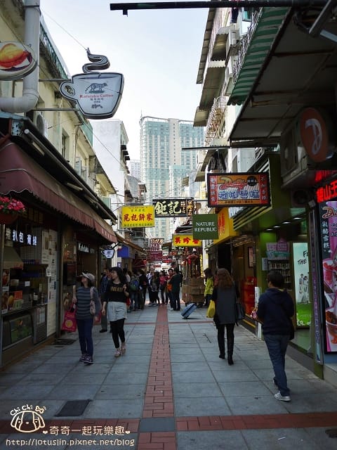 P1330459.jpg