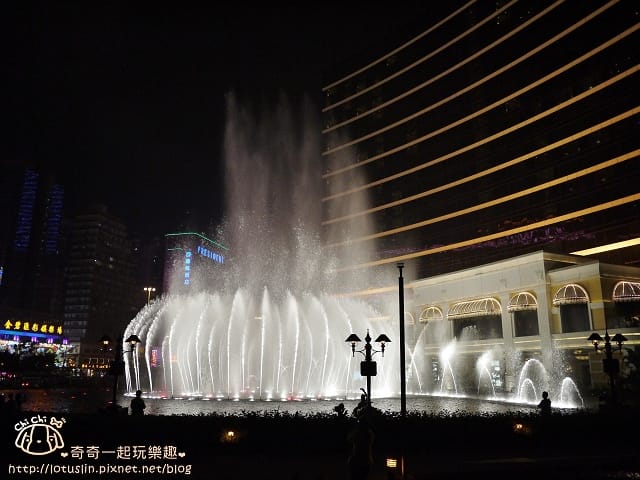 P1330535.jpg
