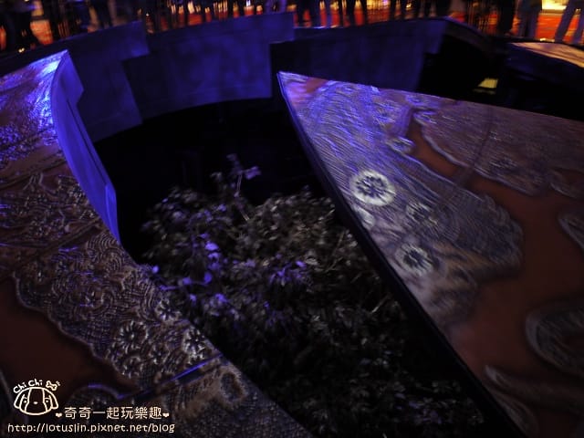 P1330554.jpg