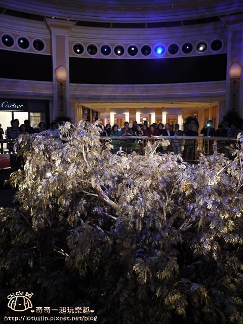 P1330556.jpg